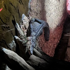 I men Pirda ni menseng by Ervin_1.mp3