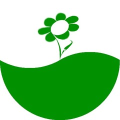Lichkiwi