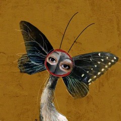 Narges Sh