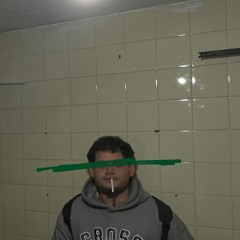 PALEAR1