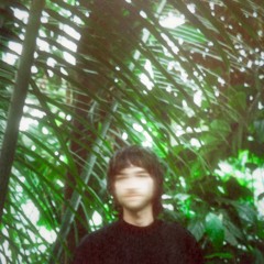 Past Palms