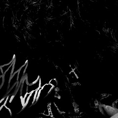 xahvoo (@shytfaxe)