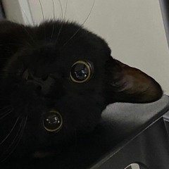 Elliot