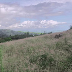 Hidden Gjem