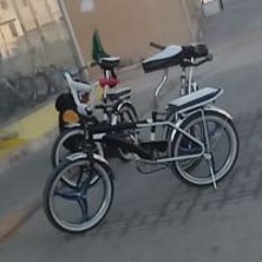 احمد التريكي