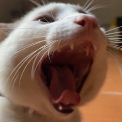 pahmnhg