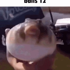 balls 12