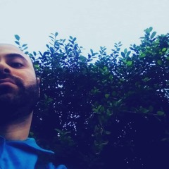 Tamer El Metwally
