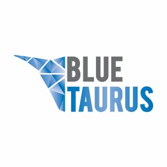 Blue Taurus Projects