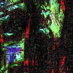 tartkek‮‮‮‮‮