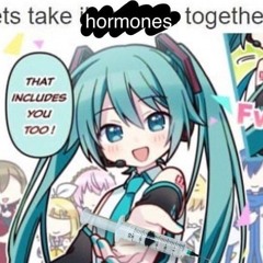 Kuu