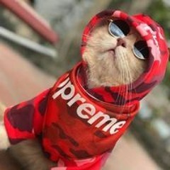 Lsjssksk Ksjsjens