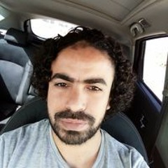 محمد أحمد القاضي