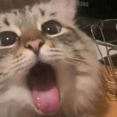 Cate Ngyn