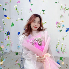 Hồng Nguyễn T.