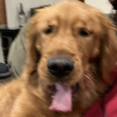 ryker