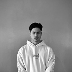 VENGEØN