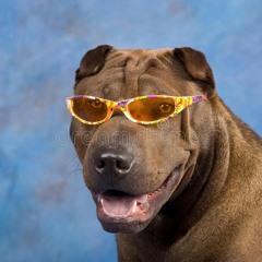 Skjeggi Von FUUAAARRRKKK