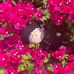 shushu 🌺