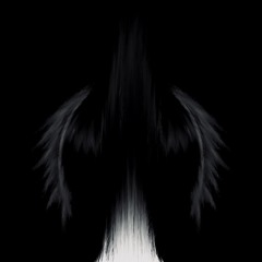 DREADER