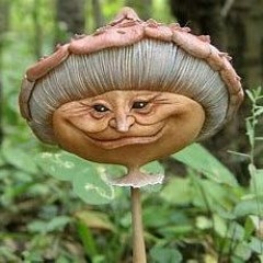 Fungu$