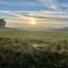 Kat’han Mariim(Lionis)