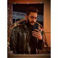 ali abd elhay