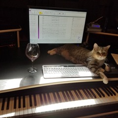 Sonic Landscapes Music