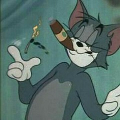 Zedser