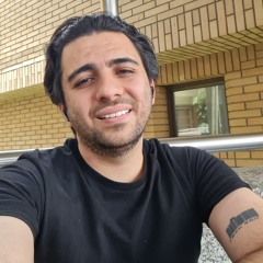Peyman Fekri