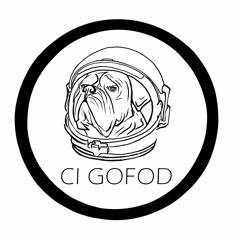 Ci Gofod