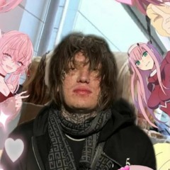 ︎︎︎︎︎percgod80