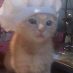 #jubistwentyone!!!!!