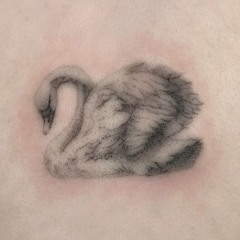 ۶ৎ ѕтαяℓιgнт ۶ৎ