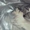 thelxinoe ✧ 山本隆一 ☾ ☾☽ ☾, あなたの選択に応じてプロットは変化します。
