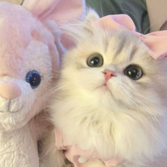 *.+ﾟ