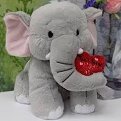 Cadie Iona McLaughlin