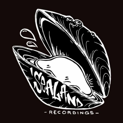 Sealand Recordings’s avatar