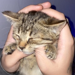 macikkk