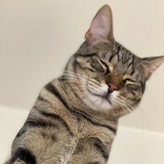 oʎy