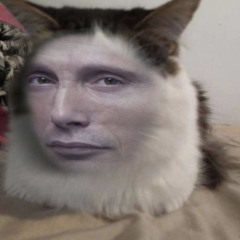 jensen’s gf
