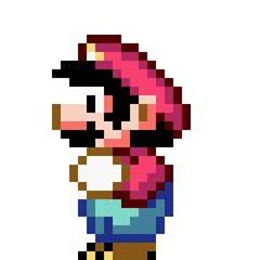 The Super Mario Gamer