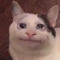 UserMEOW