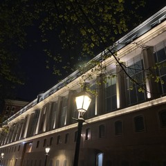 I wanna be your star