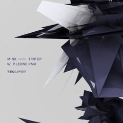 Teksupport Records