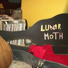 Lunar Moth