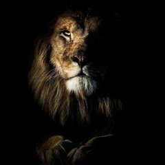 إسلام صبحي، من أجمل التلاوات (ومالنا ألا نتوكل على الله)