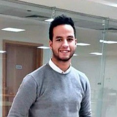 hassan eid