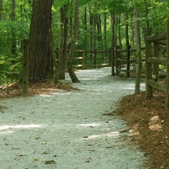 Atlanta Insight Meditation Community