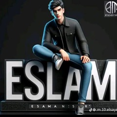 إسلام محمد أبو الليالي